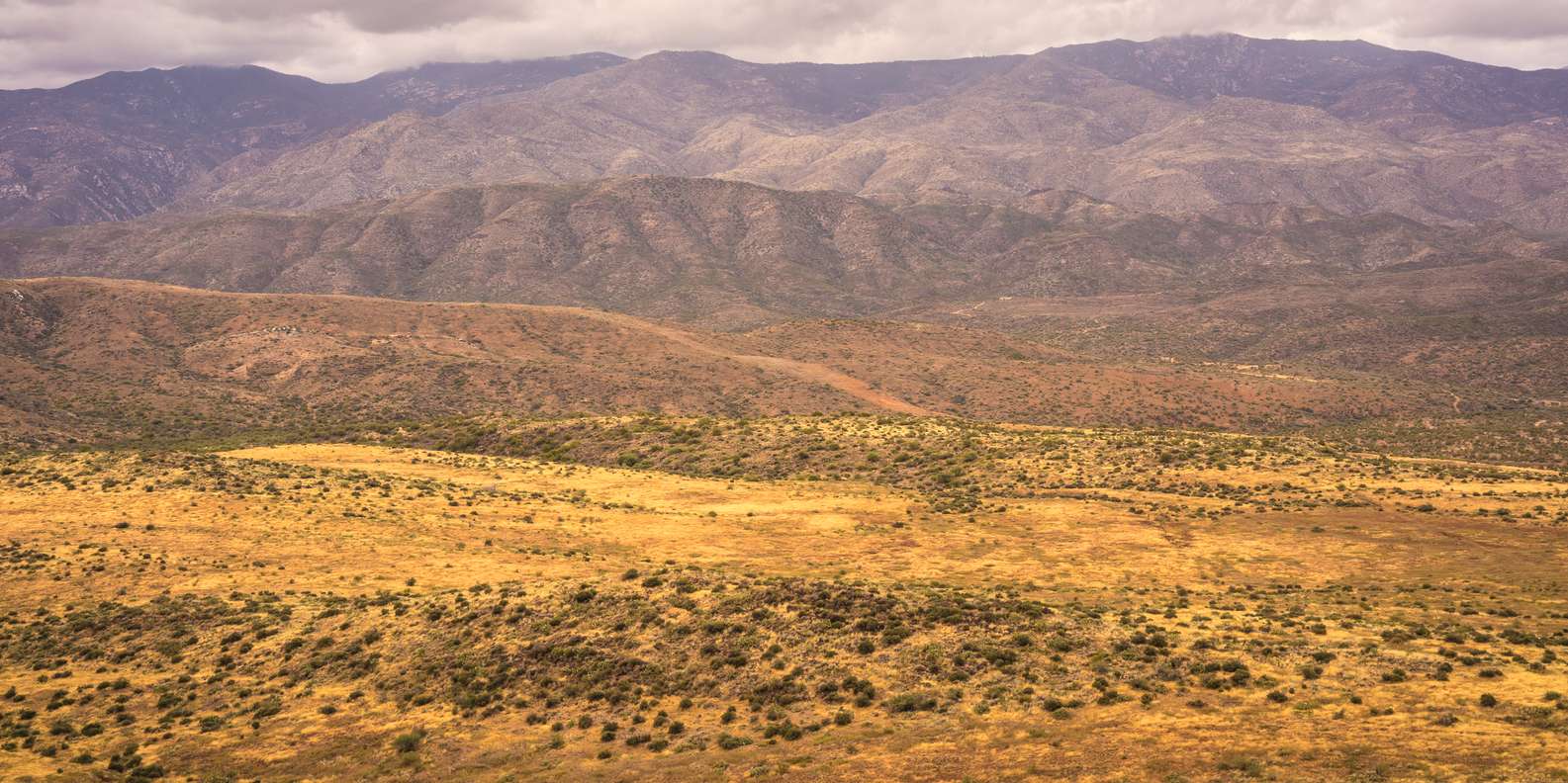 Bradshaw Mountains, Arizona, Arizona Book Tickets & Tours GetYourGuide