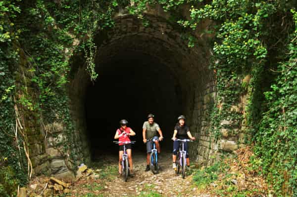 Day Trips from Groznjan | GetYourGuide