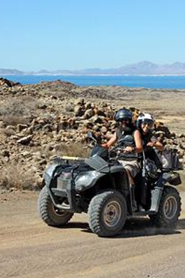 Mejores Actividades Y Cosas Que Ver En Corralejo En Cancelaci N Gratis Getyourguide