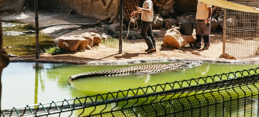 Cocodrilo Park Gran Canaria