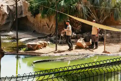2. Cocodrilo Park Gran Canaria
