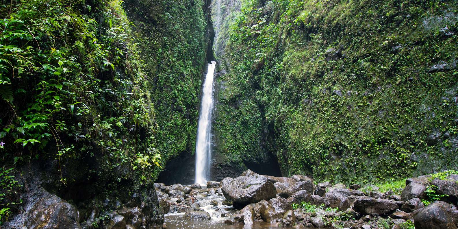 Sacred Falls, Oahu, Oahu Book Tickets & Tours GetYourGuide