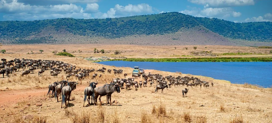 Cratere di Ngorongoro