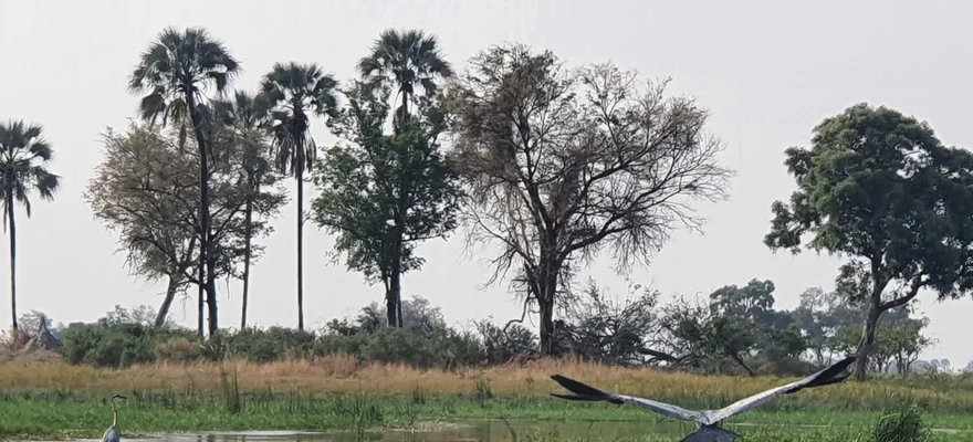 Okavango Delta