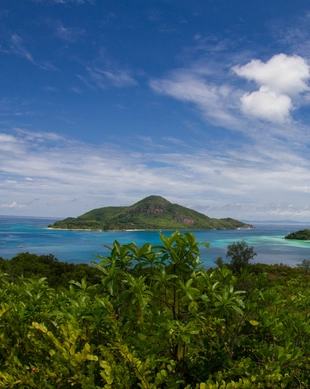 Moyenne Island
