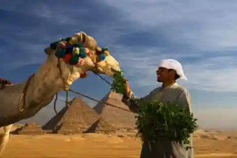 1. Sakkara