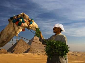 Sakkara Tours & Tickets