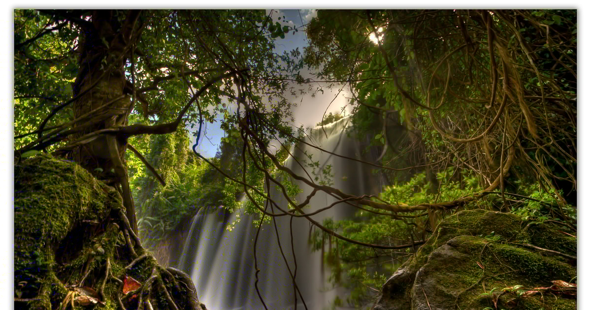 Parc national de Phnom Kulen, Réservez des tickets pour votre visite GetYourGuide.fr Parc national de Phnom Kulen, Réservez des tickets pour votre visite GetYourGuide.fr