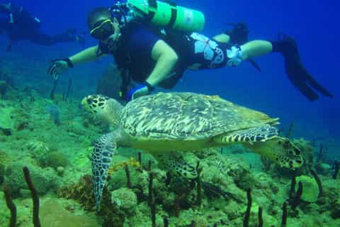 Day Trips from Aguadilla - GetYourGuide