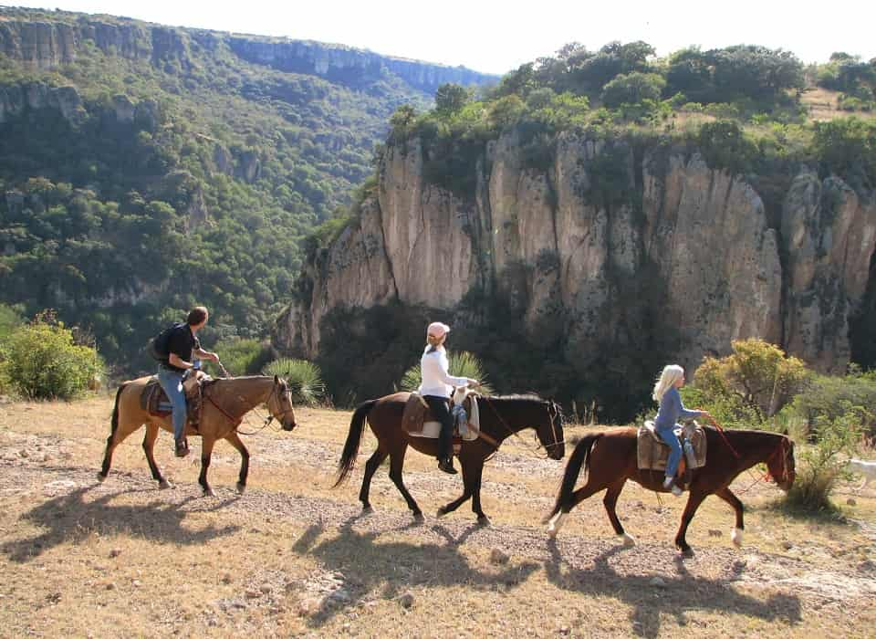 BESTE Bus Und Minivan Touren Guanajuato 2024 KOSTENLOS Stornierbar