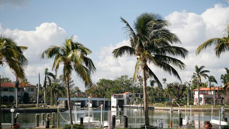 Best Activities in Indian Creek