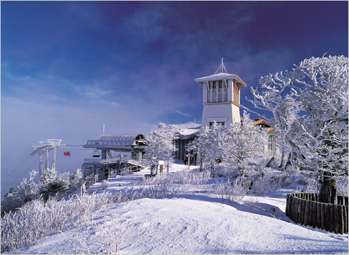 The BEST Gangwon Province Tours and Things to Do in 2026 - FREE Cancellation | GetYourGuide