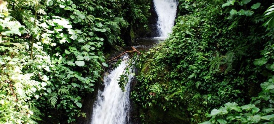Riserva Biologica di Monteverde, Riserva biologica di Monteverde