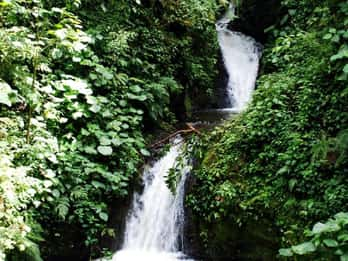 Isla del Cano, Puntarenas Province - Book Tickets & Tours