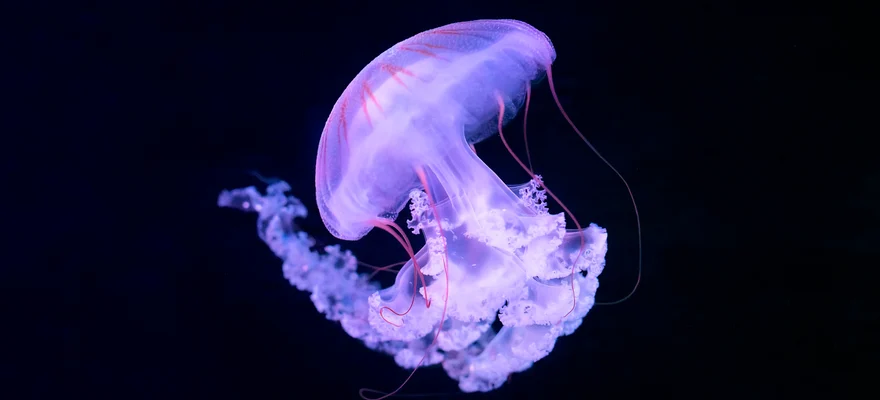 Aquarium de Paris