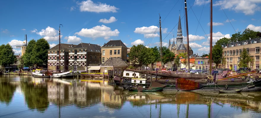 Gouda