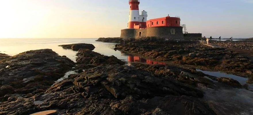 National Trust - Ilhas Farne