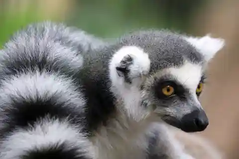 5. Zoo de Dierenrijk