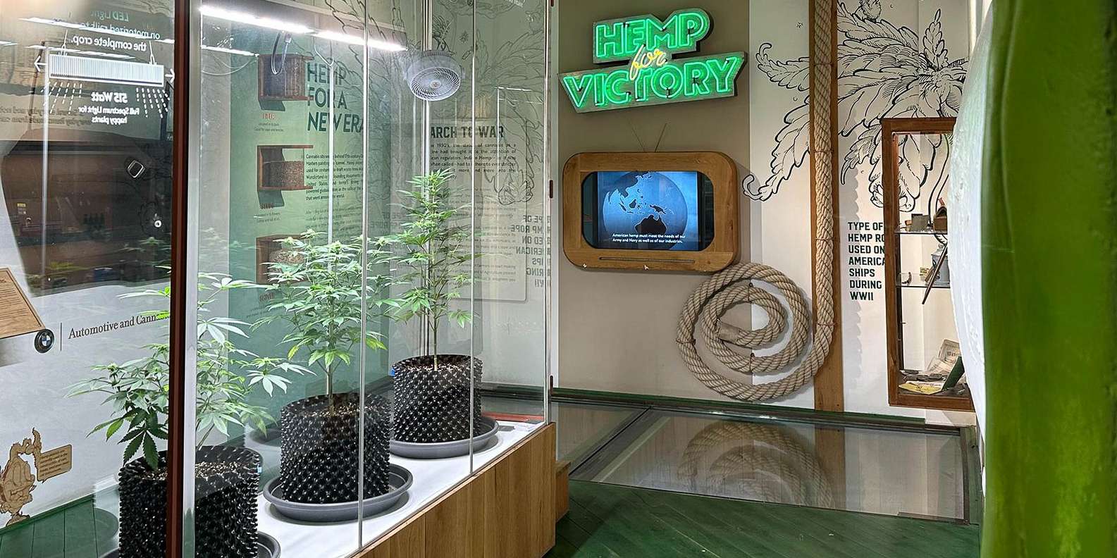 Cannabis Museum Amsterdam, Amsterdam - Réservez Des Tickets Pour Votre ...