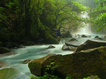 The BEST Costa Rica Tours and Things to Do in 2022 - FREE Cancellation