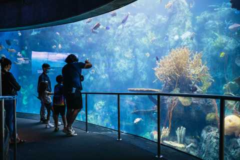Aquarium du Pacifique, Los Angeles - Réservez des tickets pour votre visite