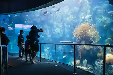 6. Aquarium of the Pacific