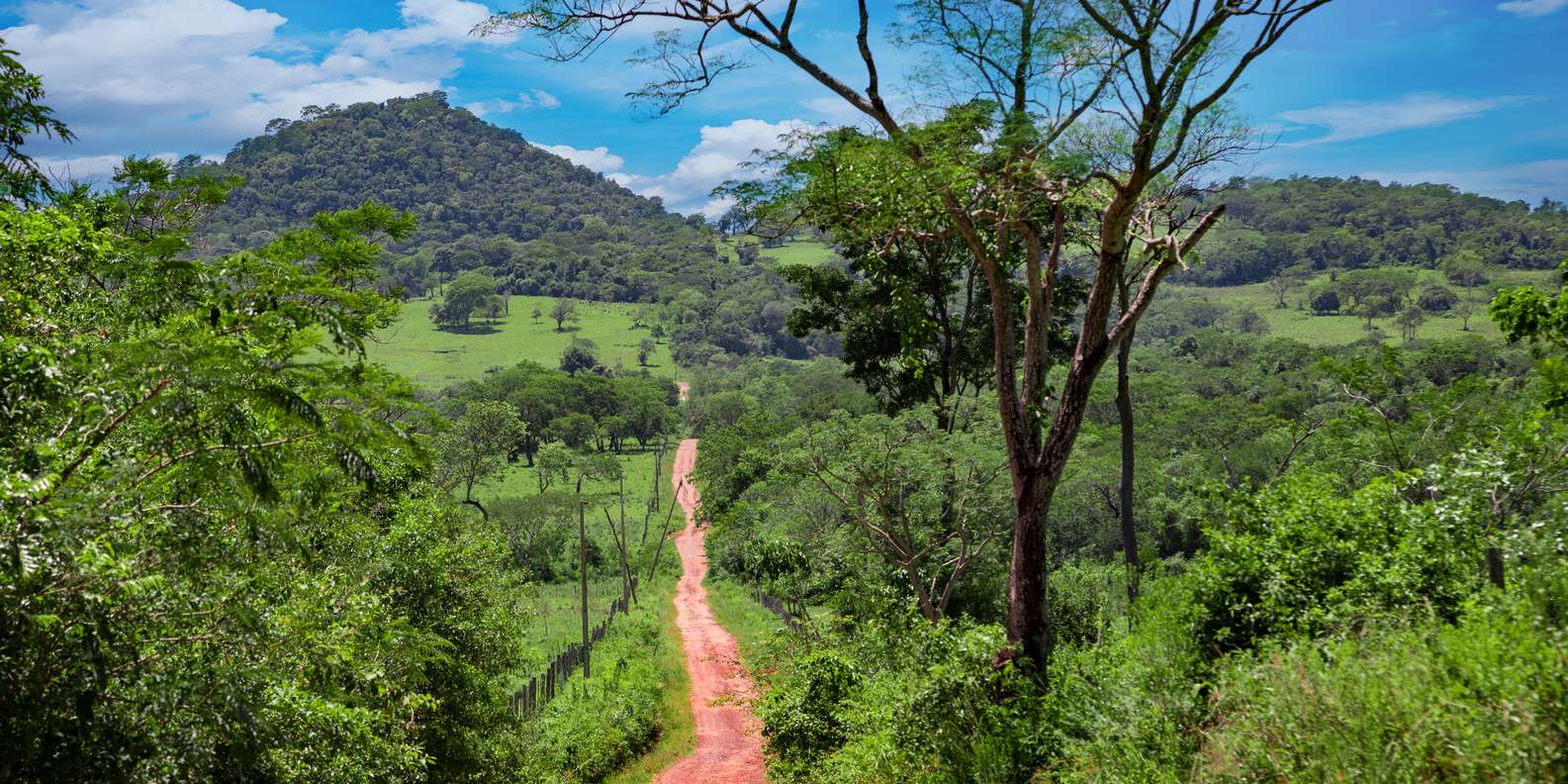 The BEST El Valle de Anton, Panama Tours and Things to Do in 2023 FREE Cancellation GetYourGuide