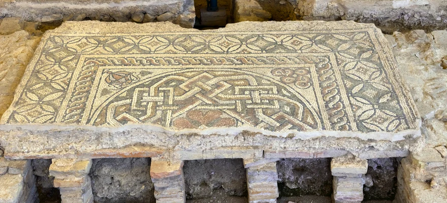Domus del Chirurgo, Riminis
