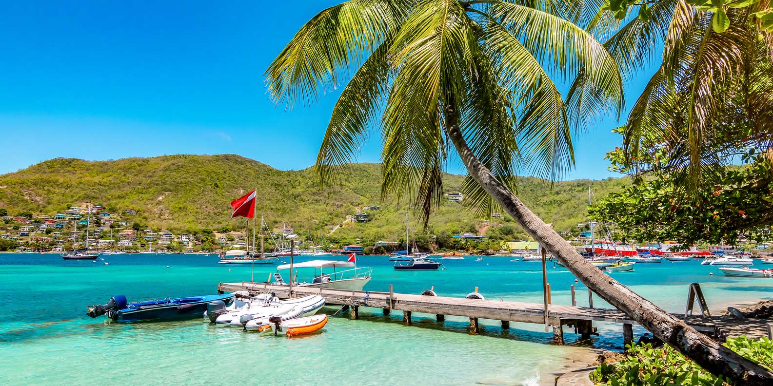 The BEST Saint Vincent and the Grenadines Tours and Things to Do in ...