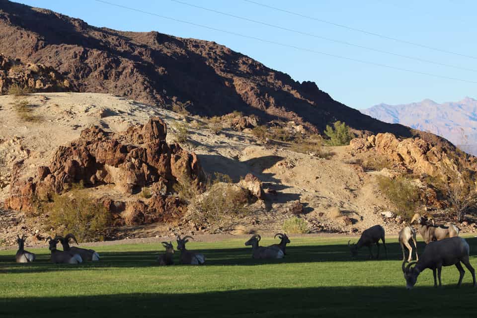 Oregon's Boulder Park: Your Gateway to Adventure!