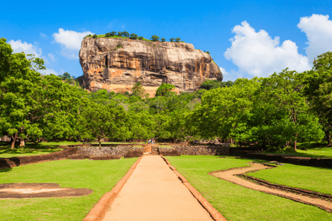 yalangoch odamlar bilan chiqishlardan videolar