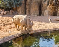 Bioparc Valencia in Valencia