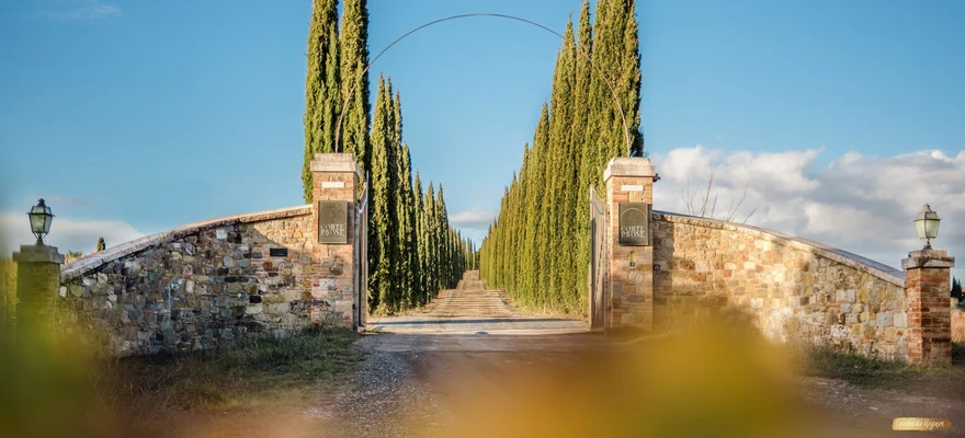 Corte Pavone Winery