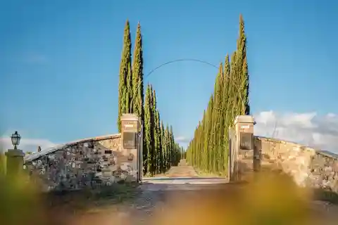 3. Corte Pavone Winery