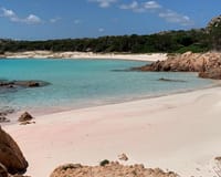 Roze strand, Sardinië in Sardinië