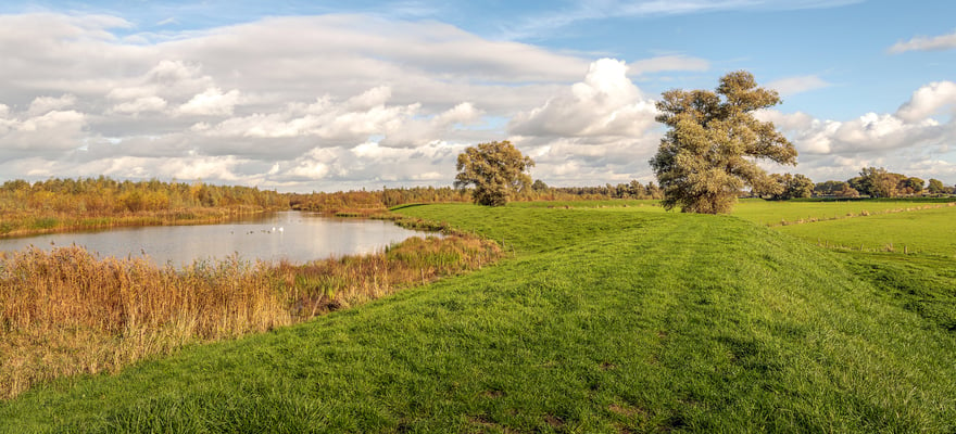 Nationaal Park De Biesbosch: De BESTE Tours En Dingen Om Te Doen In ...