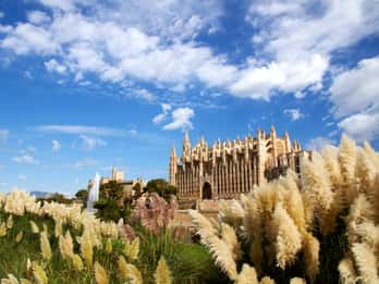 Palma de Mallorca Matkat ja Liput