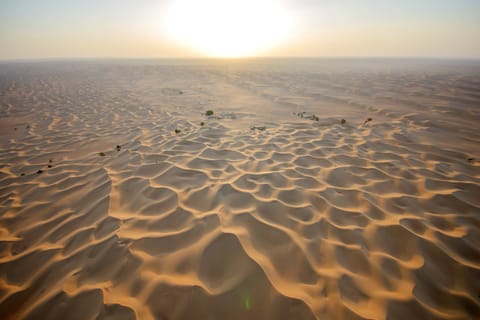 Reserva Natural do Deserto de Dubai