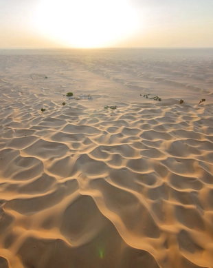 Dubais ørkenreservat
