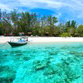 Travelers recommend