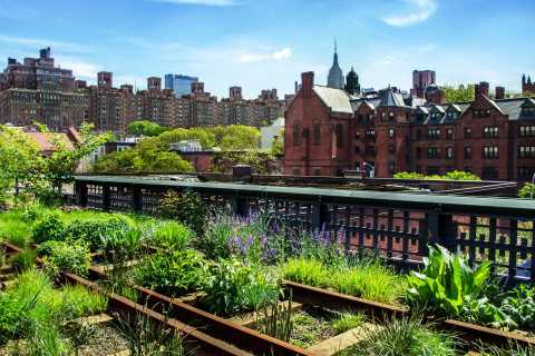 The High Line Park NYC - History & Guided Tours