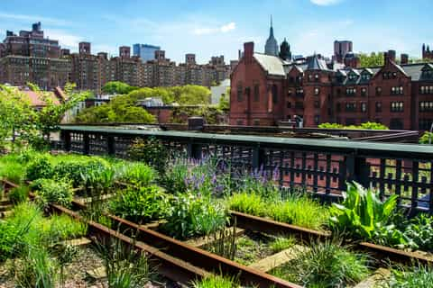 The High Line Park NYC - History & Guided Tours