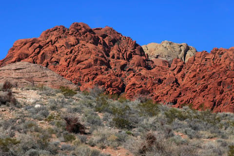 Red Rock Canyon