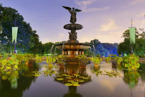 Bethesda Terrace and Fountain (2023)