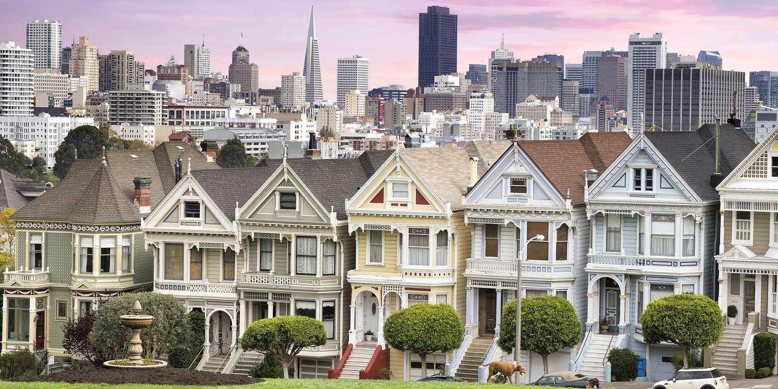 The BEST Alamo Square Tours And Things To Do In 2024 FREE   99 