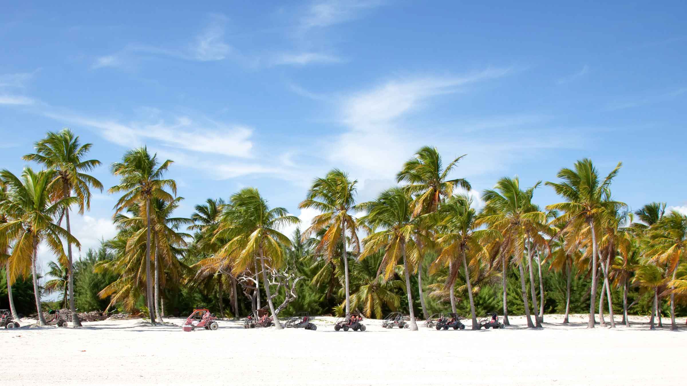 The BEST Cap Cana Horse Riding 2022 FREE Cancellation GetYourGuide