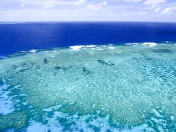 Great Barrier Reef - Cairns Great Barrier Reef - Cairns