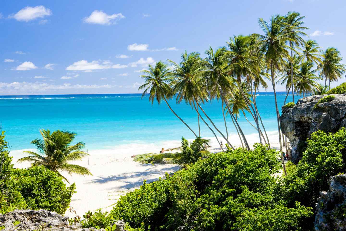 Palm Cove Tours & Tickets