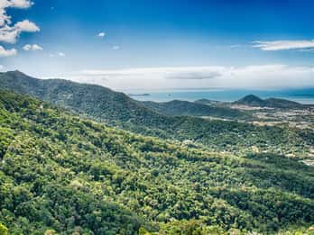 Daintree Rainforest Daintree Rainforest