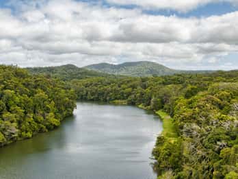 Parque Nacional Daintree: Tours y Entradas